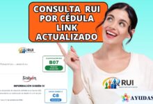 Consulta RUI por cédula: Link actualizado