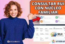 nucleo familiar RUI