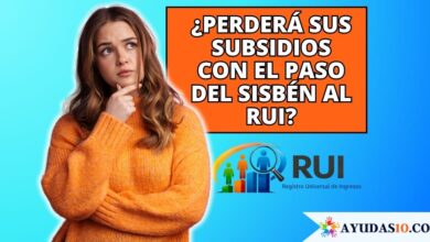 que pasará con los subsidios con el RUI
