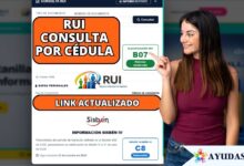 RUI consulta por cédula en la Ventanilla Social DNP