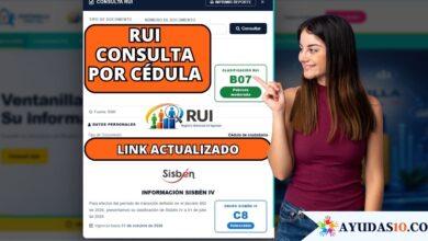 RUI consulta por cédula en la Ventanilla Social DNP