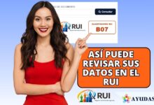 Consulte su RUI por cédula fácil y rápido