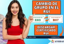 clasificación por letras A, B, C y D en el RUI para verificar subsidios