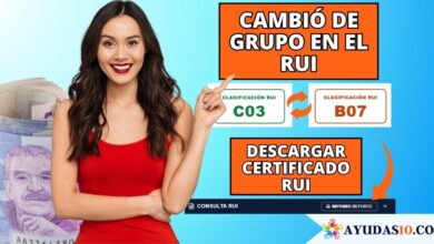 clasificación por letras A, B, C y D en el RUI para verificar subsidios