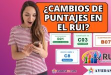 Consulta por cédula en la Ventanilla Social del DNP