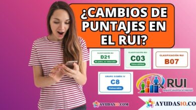Consulta por cédula en la Ventanilla Social del DNP