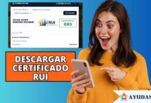 paso a paso para descargar el certificado del RUI