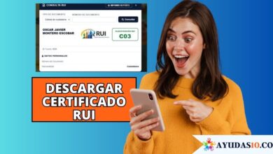 paso a paso para descargar el certificado del RUI