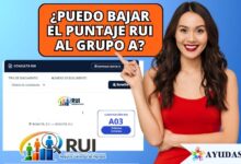 Ciudadano consultando su clasificación del Registro Universal de Ingresos (RUI) y los grupos A