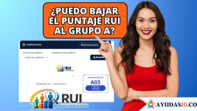 Ciudadano consultando su clasificación del Registro Universal de Ingresos (RUI) y los grupos A