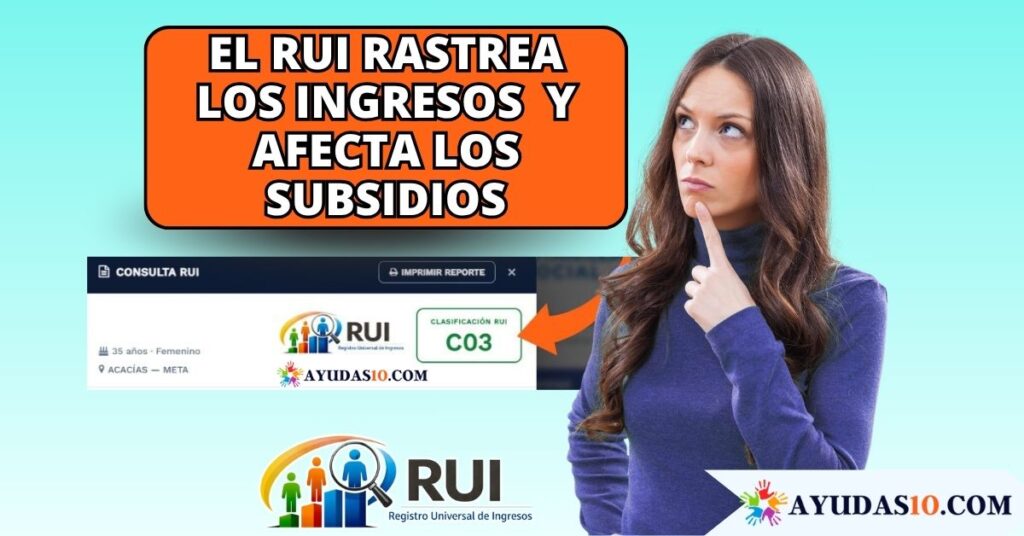 Ciudadana revisando la plataforma digital de la Ventanilla Social del DNP para consultar su clasificación en el RUI