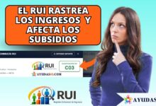 Ciudadana revisando la plataforma digital de la Ventanilla Social del DNP para consultar su clasificación en el RUI