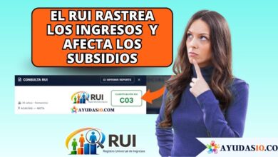 Ciudadana revisando la plataforma digital de la Ventanilla Social del DNP para consultar su clasificación en el RUI