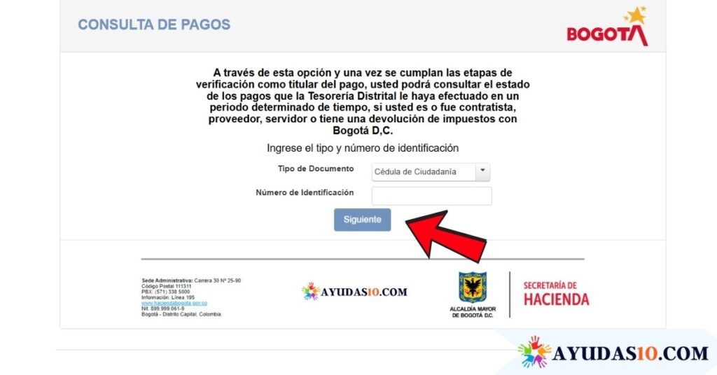 consulta de pagos IMG
