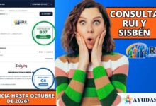 nueva información de vigencia del Sisbén IV dentro de la plataforma del RUI