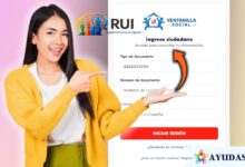 Persona realizando el registro paso a paso en la Ventanilla Social del DNP para consultar la ficha del RUI
