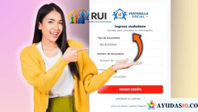Persona realizando el registro paso a paso en la Ventanilla Social del DNP para consultar la ficha del RUI