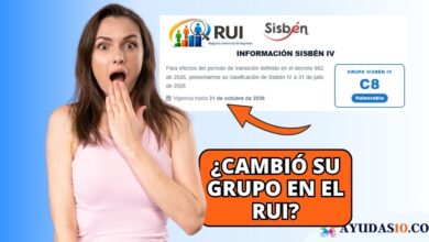 Ciudadano consultando su clasificación en la plataforma de la Ventanilla Social del RUI