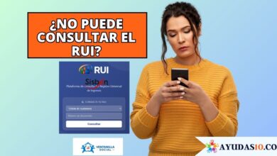 Persona intentando consultar la clasificación del RUI en la Ventanilla Social desde un teléfono celular