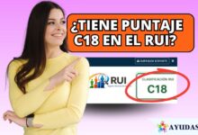 Ciudadana colombiana consultando su puntaje y clasificación C18 en la plataforma digital del RUI y la Ventanilla Social