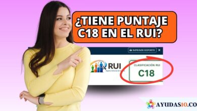 Ciudadana colombiana consultando su puntaje y clasificación C18 en la plataforma digital del RUI y la Ventanilla Social
