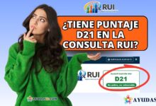 puntaje D21 del Registro Universal de Ingresos a través de la plataforma digital del DNP