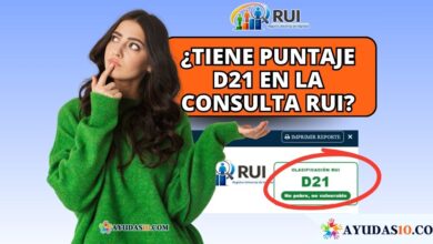 puntaje D21 del Registro Universal de Ingresos a través de la plataforma digital del DNP