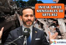 asistencia y ayudas económicas del Gobierno nacional