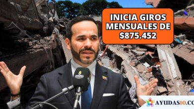 asistencia y ayudas económicas del Gobierno nacional