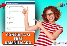 consultar damnificados en la ventanilla social DNP
