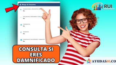 consultar damnificados en la ventanilla social DNP