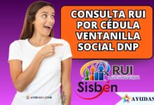 Consulta RUI por cédula Ventanilla Social DNP