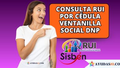 Consulta RUI por cédula Ventanilla Social DNP