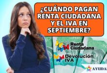información oficial sobre el pago de Renta Ciudadana y Devolución del IVA