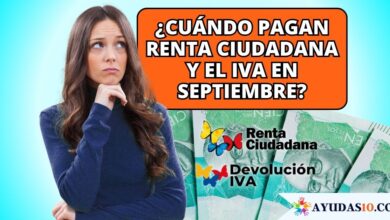 información oficial sobre el pago de Renta Ciudadana y Devolución del IVA