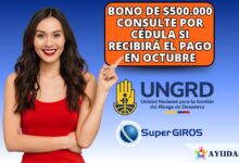 Jefa de hogar consulta con su cédula el bono de 500 mil pesos entregado por la UNGRD