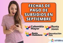 consultando fechas de pago de subsidios de Prosperidad Social
