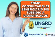 Ciudadano consultando si es beneficiario del subsidio para damnificados