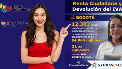 Hogares beneficiarios de Renta Ciudadana y Devolución del IVA consultando el pago en Bogotá