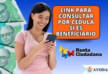 Ciudadana consultando en línea si es beneficiaria del cuarto ciclo de Renta Ciudadana en septiembre