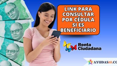 Ciudadana consultando en línea si es beneficiaria del cuarto ciclo de Renta Ciudadana en septiembre