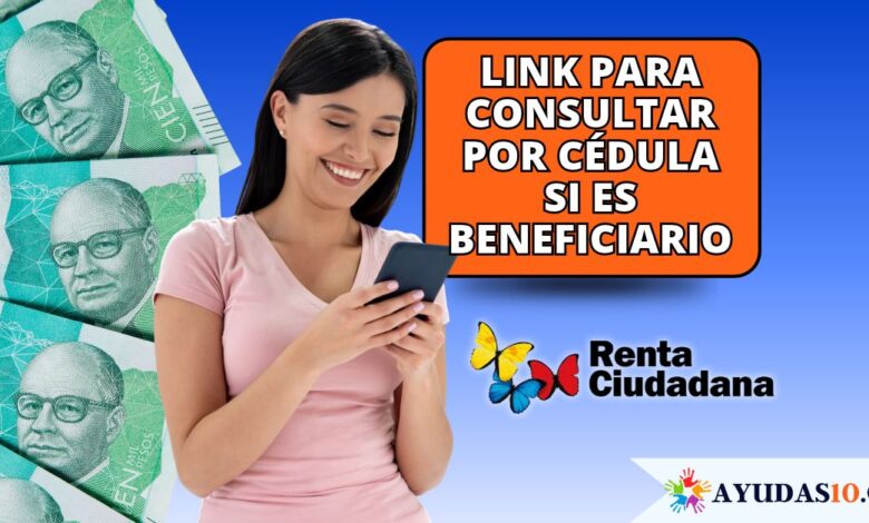 Ciudadana consultando en línea si es beneficiaria del cuarto ciclo de Renta Ciudadana en septiembre