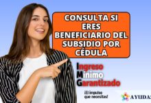 Ingreso Mínimo Garantizado: Consulta si eres beneficiario del subsidio por cédula