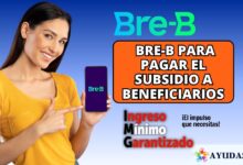 Ciudadana revisando en su teléfono móvil una transferencia digital del Ingreso Mínimo Garantizado en Bogotá