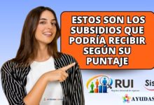 Ventanilla Social: consulte subsidios con el RUI