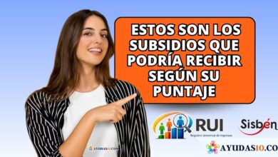 Ventanilla Social: consulte subsidios con el RUI