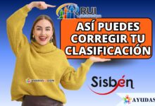 Actualizar clasificación RUI y revisar datos