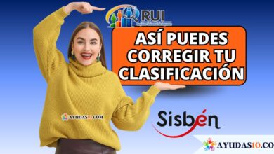 Actualizar clasificación RUI y revisar datos