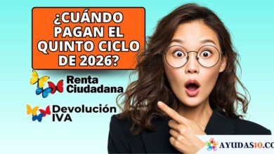 Se acerca el quinto pago de Renta Ciudadana y la Devolución del IVA