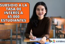 Estudiante revisando los detalles del crédito y el subsidio del Icetex